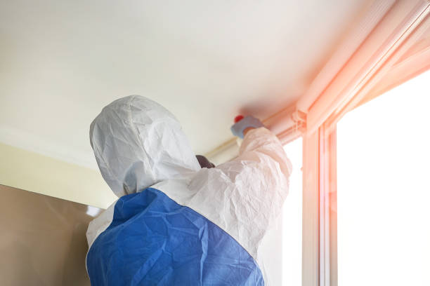 Best Residential Mold Inspection & Testing in Creswell, OR